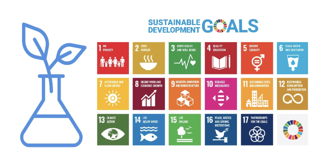 Screenshot 2025-06-17 at 7.13.12 AM